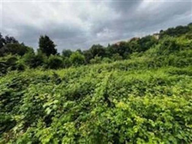 Immobile in asta di 15364 m² in vendita a Carenno - Foto 3