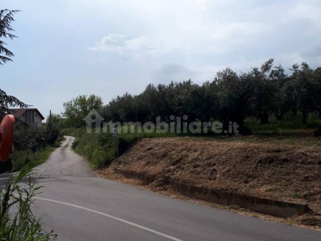 Feroleto Antico vendesi terreno residenziale 1000 Mq - Foto 5