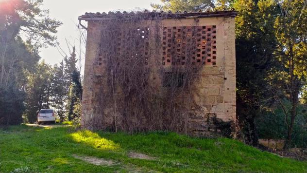 Bellissimo Casale Diruto Da Restaurare Immerso nel Verde delle Colline Pisane della Valdera - Foto 2