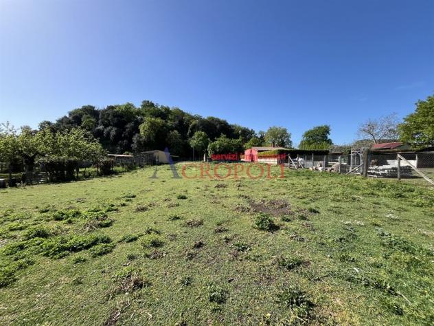 Terreno di 2300 mq in località Mola Vecchia - Foto 9