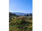 Terreno agricolo in vendita a Sarzanello - Sarzana 2190 mq  Rif: 1353360