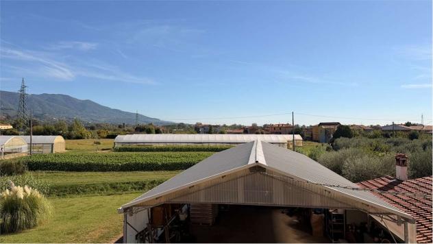 Fattoria LUCCA - Lucca, Moriano – Ampia Proprietà Agricola con Casale, Capanna e 1,6 Ettari di Terreno - Foto 19