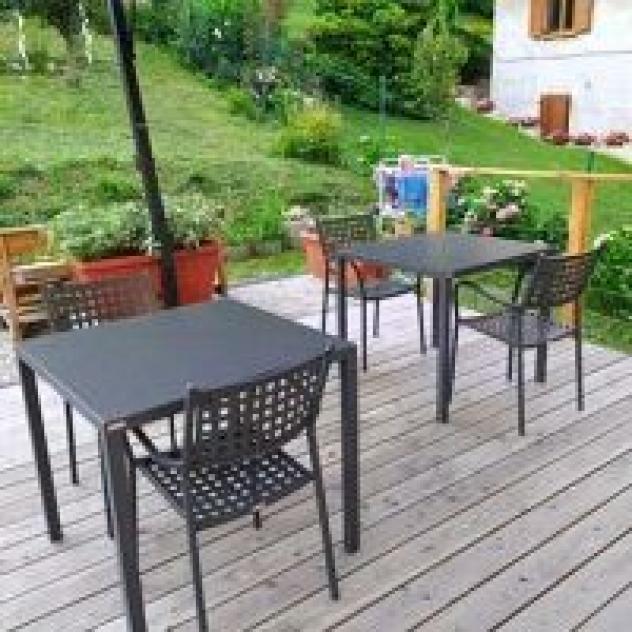 Azienda Agricola La Barberina di Martina Campregher - Foto 2