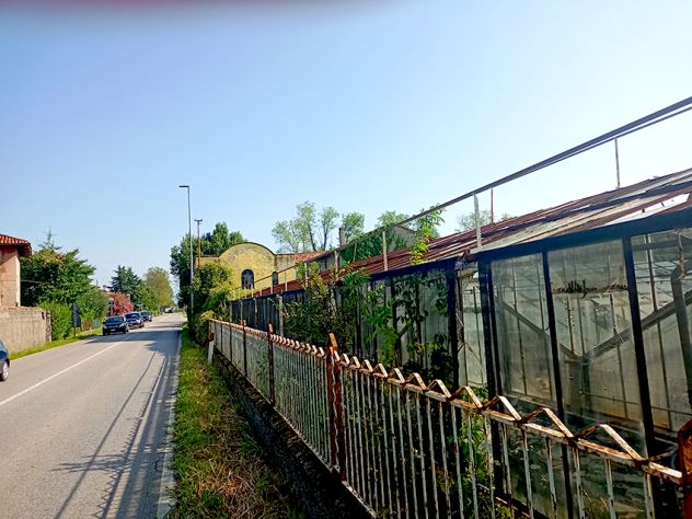 Azienda di floricoltura a Pozzuolo del Friuli - Foto 3