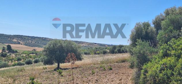 Terreno in vendita a Noto - Foto 12