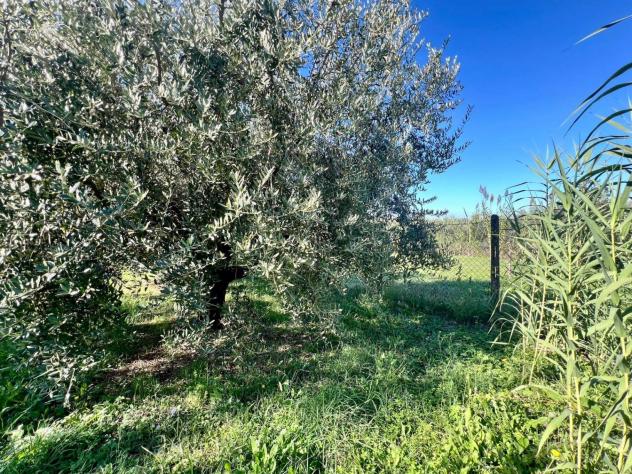 Agricolo in Via Colle Rasto - Foto 3