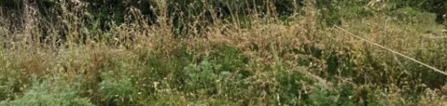 Immobile in asta di 460383 m² in vendita a Penne - Foto 8
