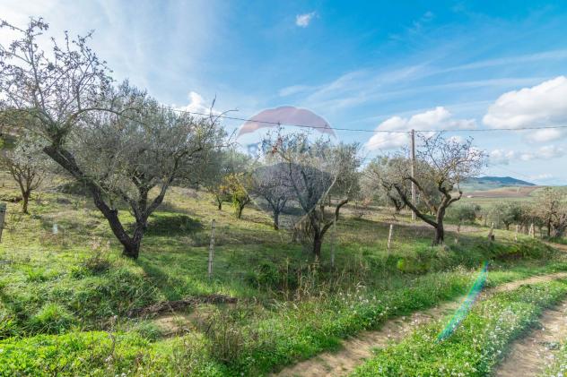 Terreno in vendita a Piazza Armerina - Foto 6