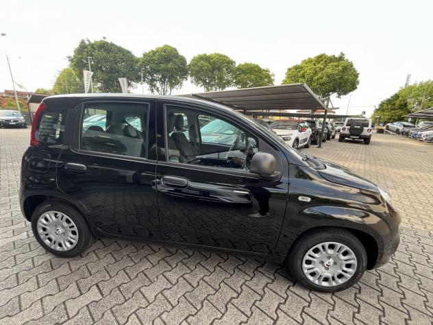 FIAT Pandina 1.0 FireFly 65cv S&S Hybrid Icon VARI COLORI - Foto 4
