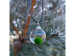 Collana con mini MARIMO Alga Palla viva Gioiello artigianale Pianta Giapponese