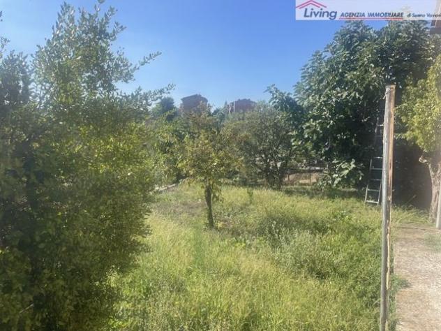 Appartamento 5 locali - Rif. V896 - Foto 2