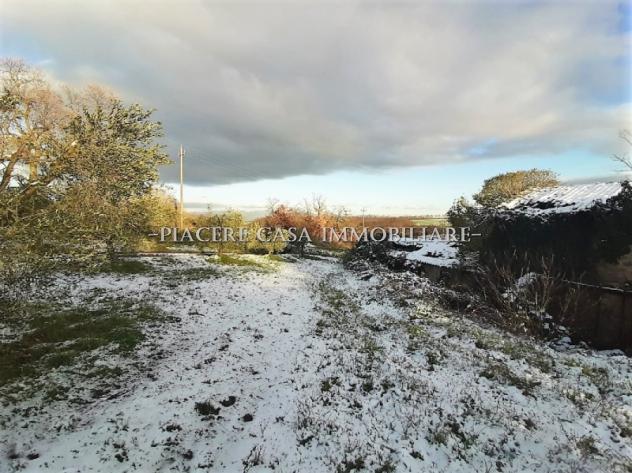 Casale da ristrutturare con 2 ha di uliveto in vendita nel circondario di Orvieto - Foto 4