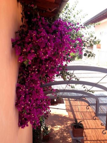 Villa in affitto a Forte dei Marmi 350 mq Rif: 962307 - Foto 3