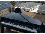 Pianista classico