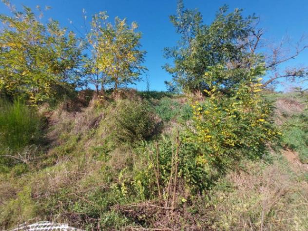 Immobile in asta di 3640 m² in vendita a Artena - Foto 16