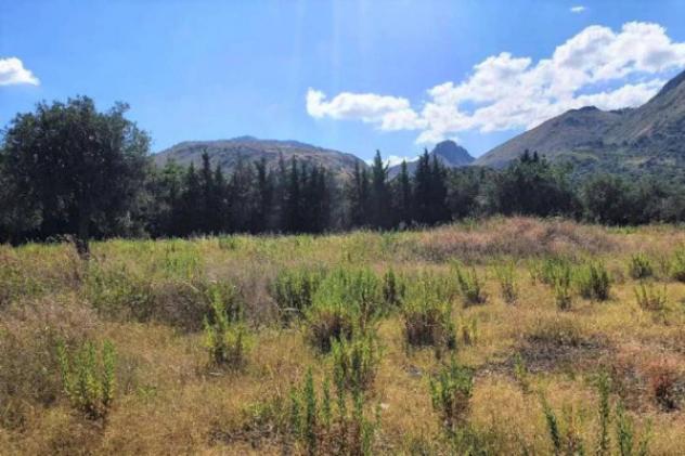 Immobile in asta di 4143 m² in vendita a Borgetto - Foto 8