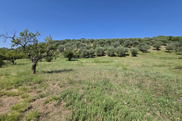 Terreno di 12000 m² in vendita a Guidonia Montecelio - Foto 10