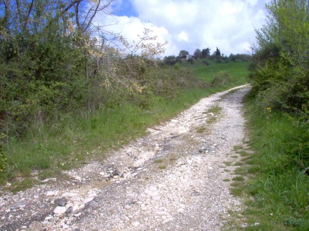 terreno coltivabile mq18000 Privato - Foto 6