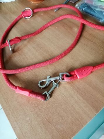 Brandina per cani piu' accessori - Foto 5