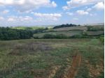 Terreno agricolo in vendita a Gracciano Dell'elsa - Colle di Val d'Elsa 200 &hellip;