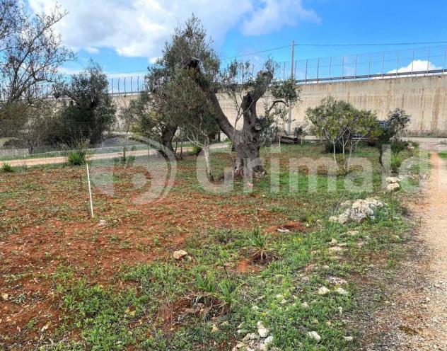 Terreno edificabile in vendita a Sannicola - Foto 7
