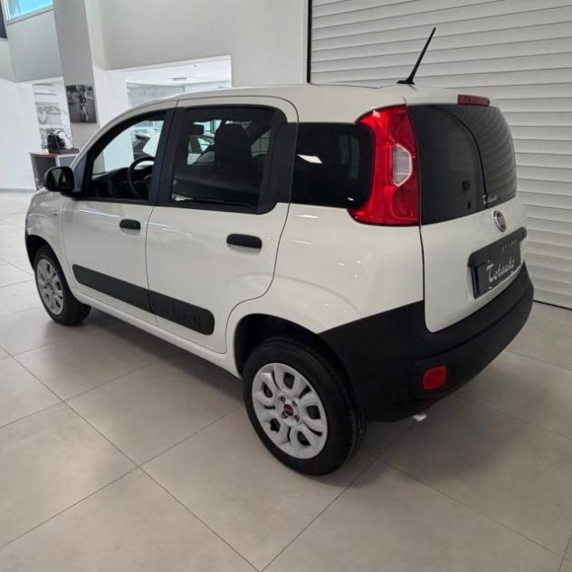FIAT Panda 0.9 TwinAir Turbo S&S 4x4 Pop Van 2 posti rif. 23940856 - Foto 5