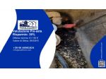 Immobile in asta di 114 m² in vendita a Avezzano