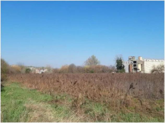 Immobile in asta di 13200 m² in vendita a Cremona - Foto 15
