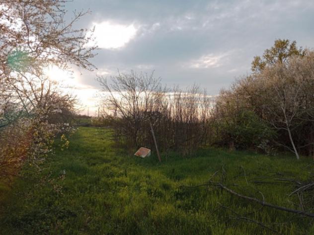 Rustico / Casale di 140 m² con 3 locali in vendita a Novi di Modena - Foto 3