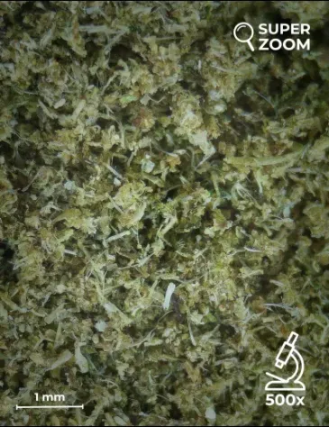 Kief CBG - Foto 2