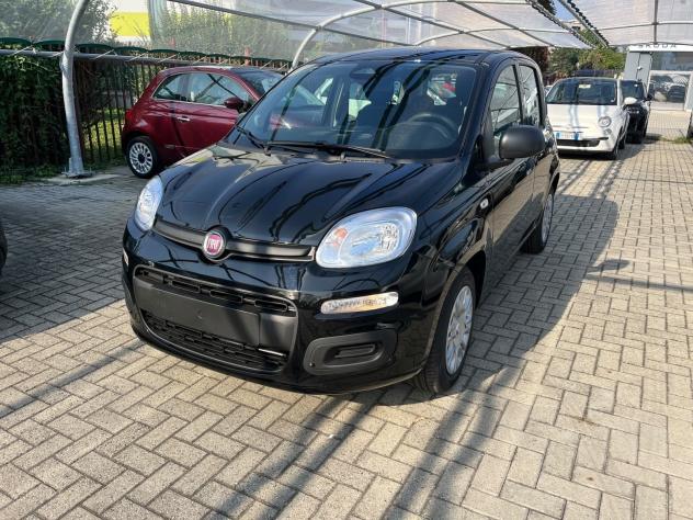FIAT Panda Pandina 1.0 firefly hybrid Icon s&s 65cv 5p.ti