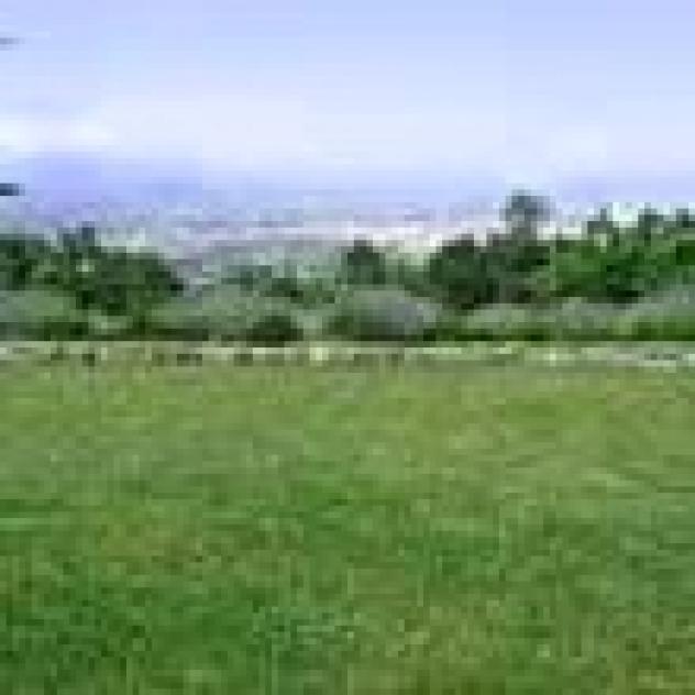 Casa Pippo - Foto 2