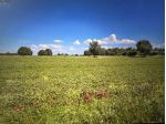 Agricolo in Località Nardelli