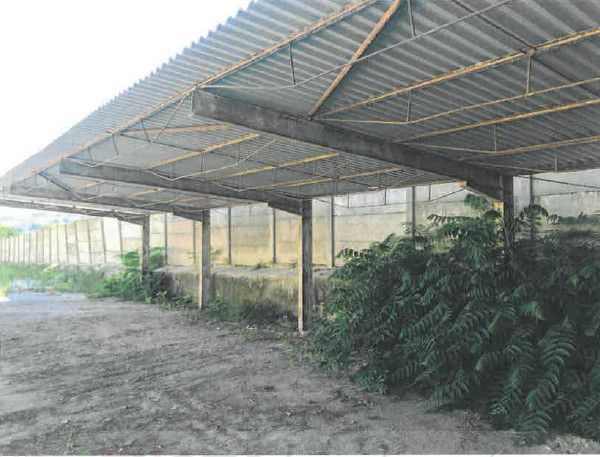TERRENO 2.700 MQ TAVERNELLE (PU) - Foto 2