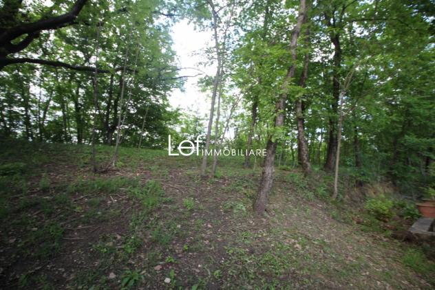 RUSTICO di 2 vani e di 68 mq (PIEVE DI SOLIGO) rif. AR08 - Foto 10