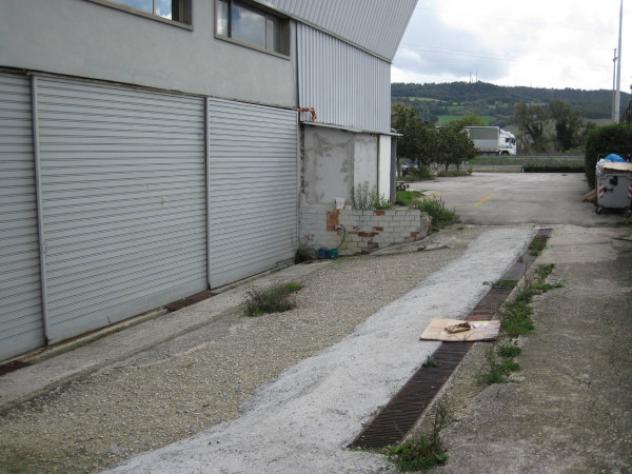 Immobile in asta di 4140 m² in vendita a Orte - Foto 8