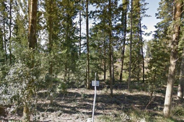 Immobile in asta di 21873 m² in vendita a Castellina in Chianti - Foto 16