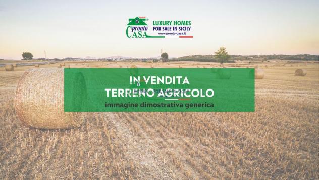 TERRENO AGRICOLO