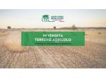 TERRENO AGRICOLO