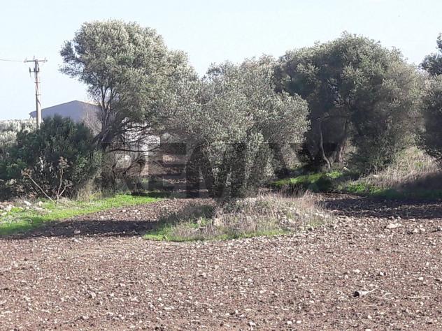 Terreno Edificabile in vendita a Ispica, Santa Maria del Focallo - Foto 12