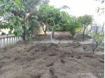 Terreno agricolo