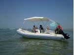 GOMMONE ZODIAC MEDLINE 2C