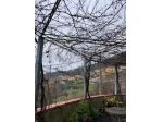 TERRATETTO di 9 vani e di 210 mq (PIETRASANTA) rif. 202/VI