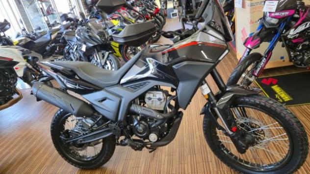 MORBIDELLI T125X EURO 5 ABS rif. 22408633