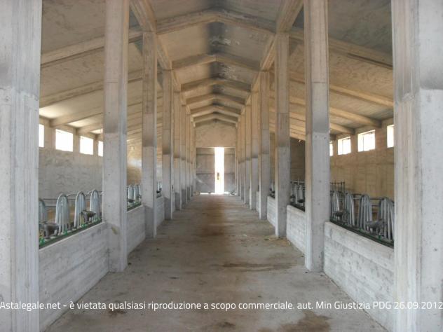 R.G.E. 18/2009 Enna (ex Nicosia) - Foto 15