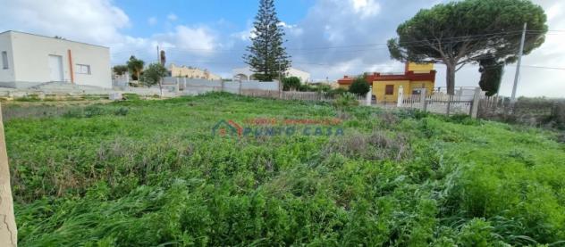 NUBIA – Terreno edificabile di 1.200 mq ca. con immobile totalmente da ristrutturare. Euro 39 MILA - Foto 8