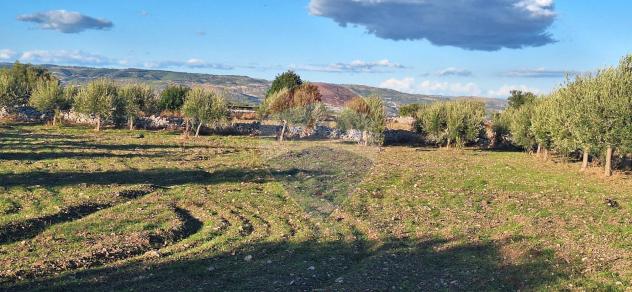 Terreno in vendita a Rosolini - Foto 2