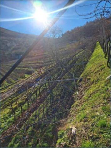 Immobile in asta di 8923 m² in vendita a Rovereto - Foto 14