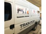 Azienda lucana offre servizio di traslochi nazionali ed internazionali