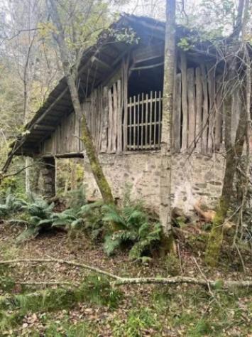 Immobile in asta di 96283 m² in vendita a Cellio con Breia - Foto 2